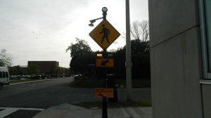 Across campus located near the parking garages are signs along with crosswalk indicators to caution drivers to yield to pedestrians. 
